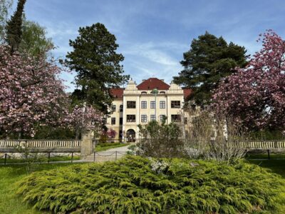 Základní škola a mateřská škola Na Daliborce, Hořice